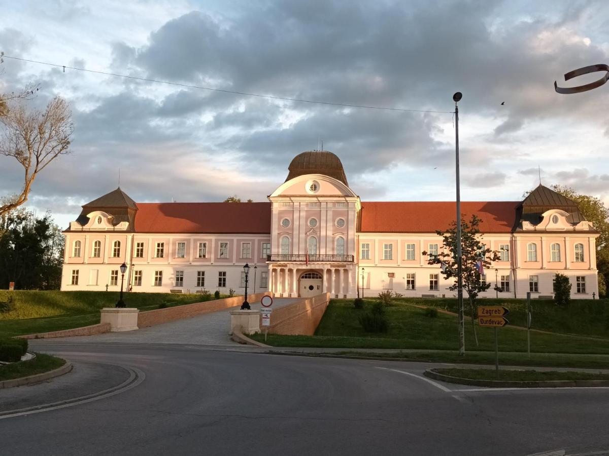 Gajeva Rooms Self Check-In Virovitica Exterior foto
